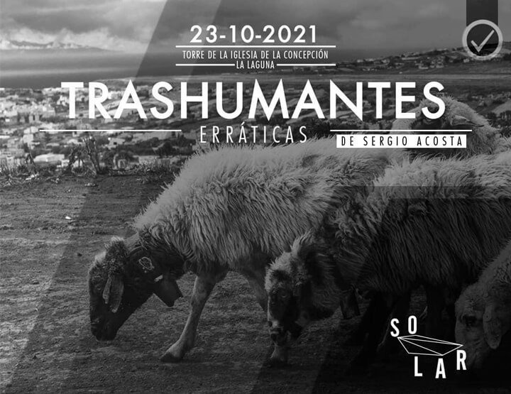 Erráticas trashumantes