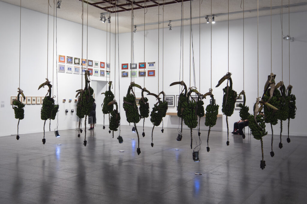 Matriz de indicios - Lugares trashumantes - Mientras seamos salvajes - Sergio Acosta - TEA Tenerife Espacio de las Artes