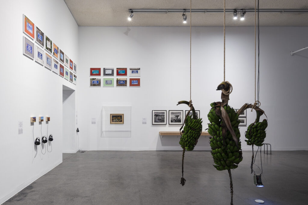 Matriz de indicios - Lugares trashumantes - Mientras seamos salvajes - Sergio Acosta - TEA Tenerife Espacio de las Artes